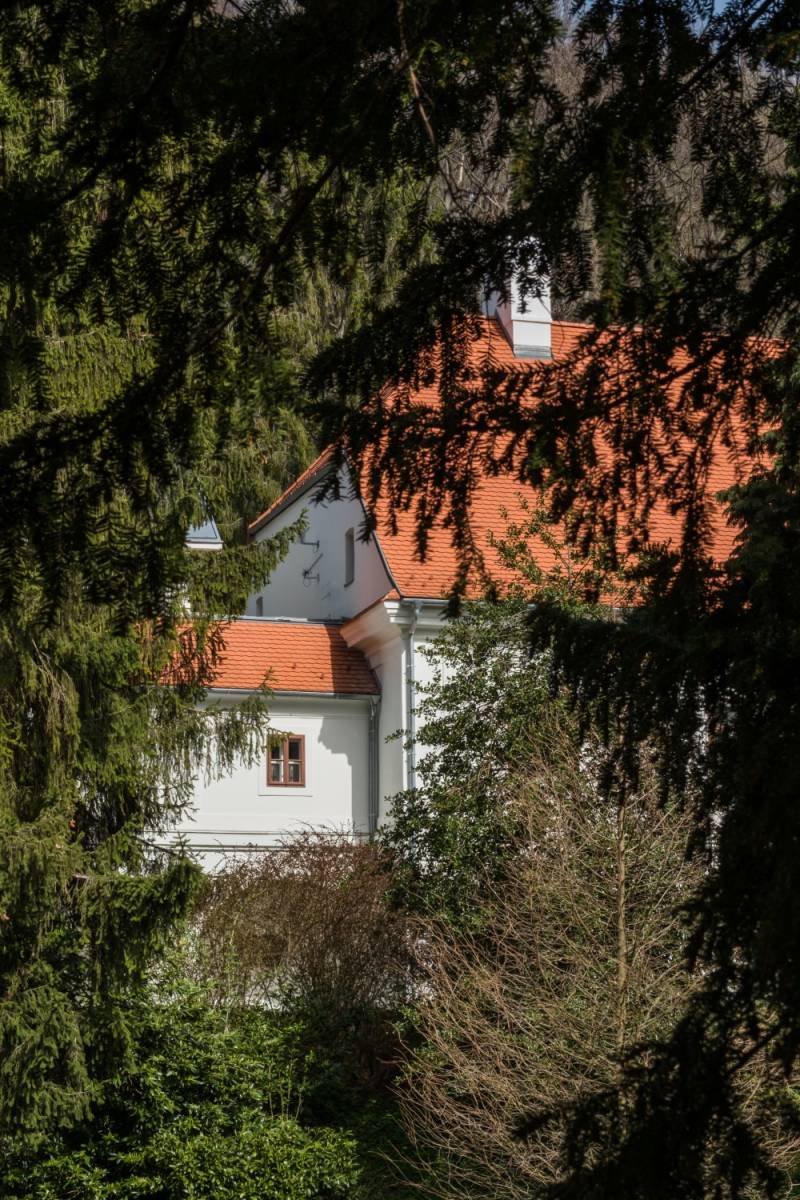 pszentlaszlo_arboretum-20180412-37 (Egyedi).jpg